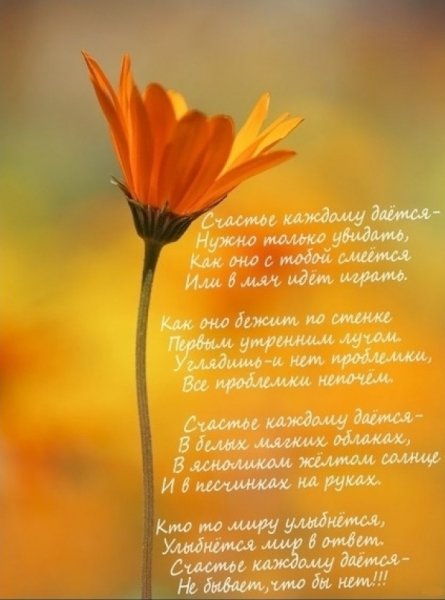 Стихи про счастье красивые