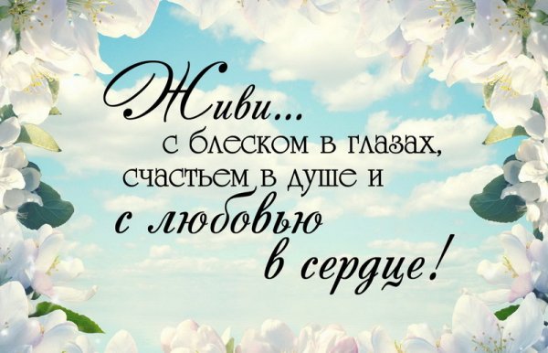 Красивые цитаты на день рождения