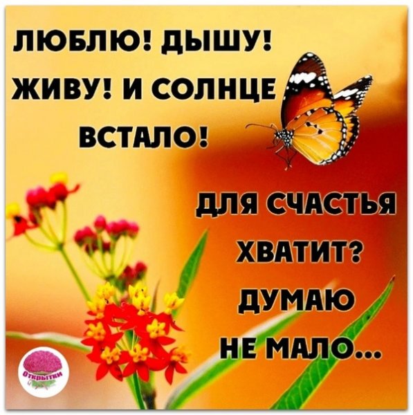 Солнышко проснулолось