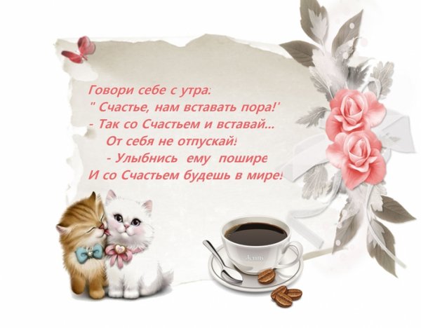Утро счастье