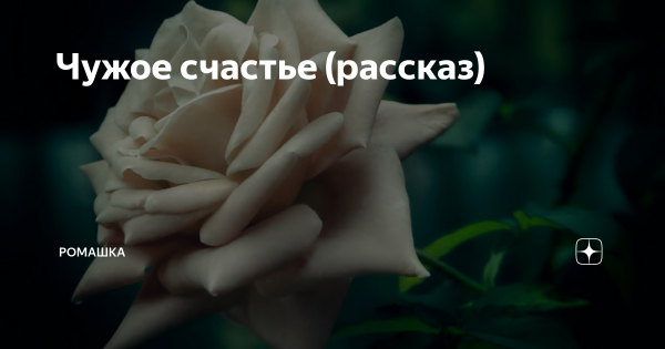 Чужое счастье рассказ на дзен