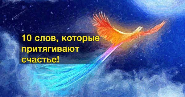 Счастье притягивает счастье