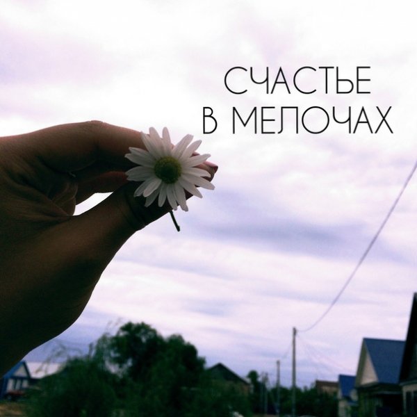 Счастье в мелочах цитаты
