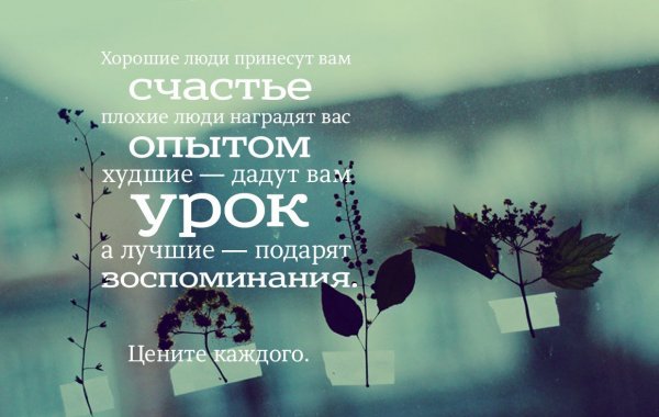 Цитаты про счастье