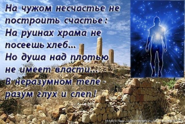 Цитаты про несчастье