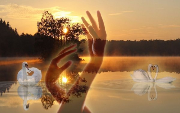 Счастье природа любовь