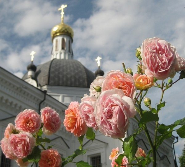 Розы в храме