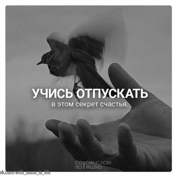 Учись отпускать в этом секрет счастья