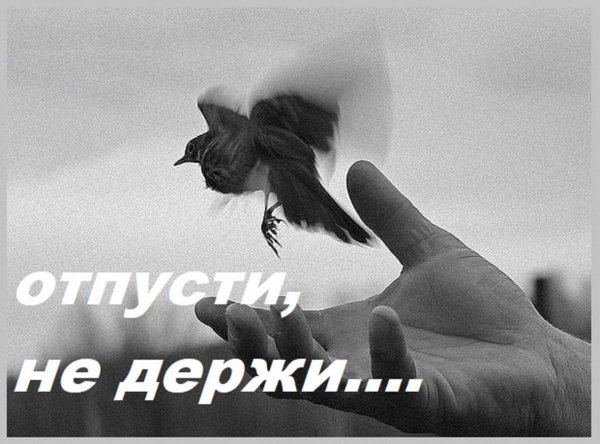 Птица взлетает с руки