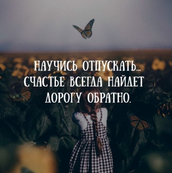 Отпустить цитаты