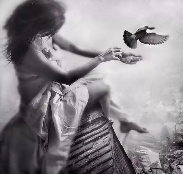 Отпустить птицу. Девушка отпускает птицу в небо. Картинка отпускаю птицу. Картинки женщина отпускает птицу.