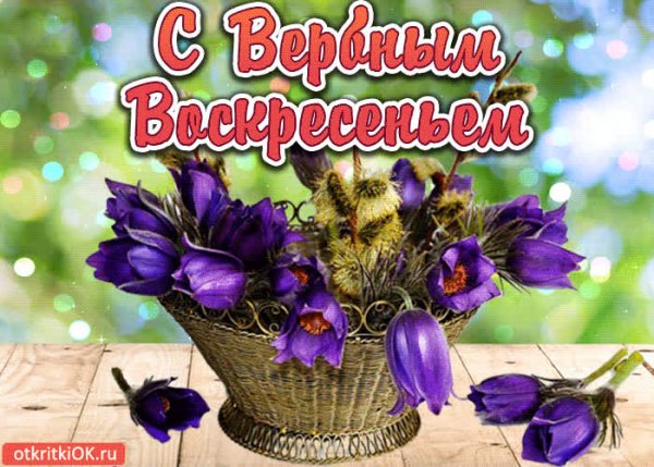Шикарное поздравление с воскресеньем