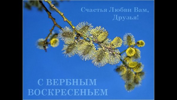 С Вербным воскресеньем
