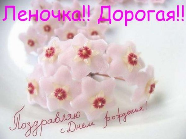 С днём рождения Леночка