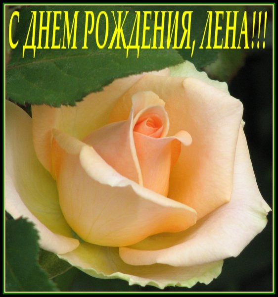 С днём рождения Легочка