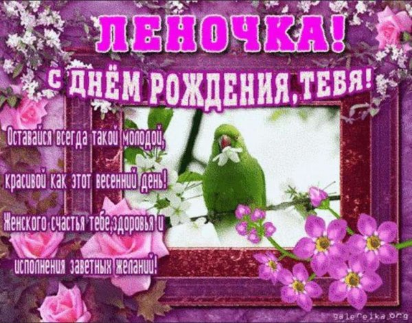 С днём рождения Елена