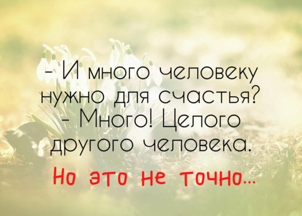 Интересные цитаты