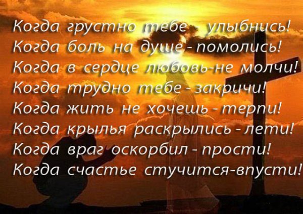 Мудрые высказывания о счастье