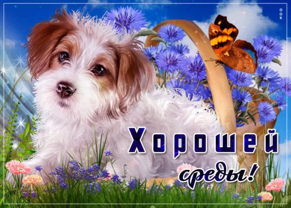 Открытки замечательной среды