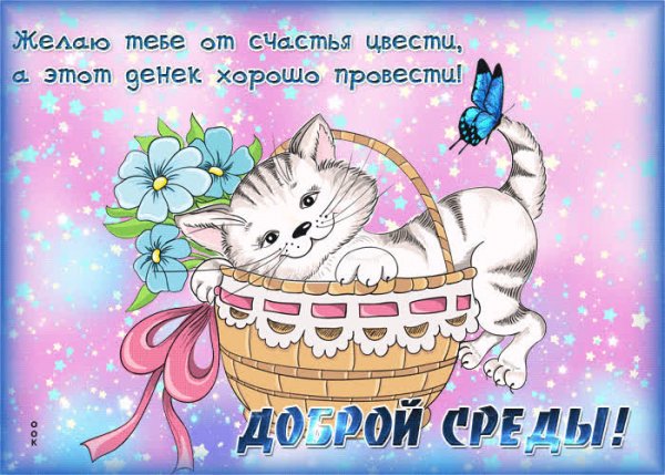 Открытки с средой и хорошим днем