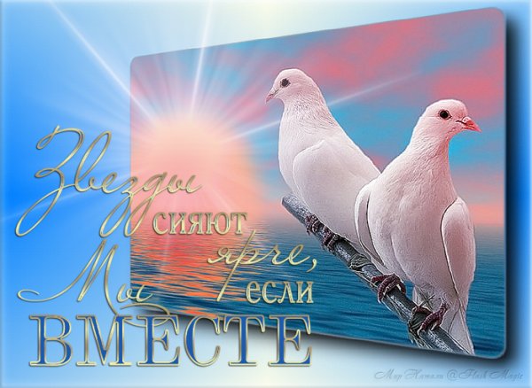 Голуби с пожеланиями
