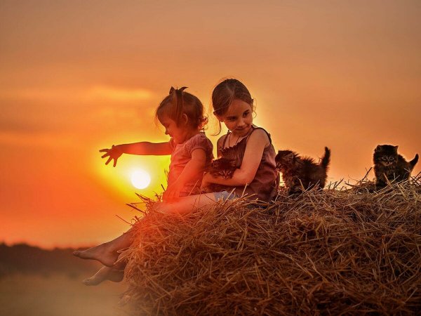 Счастье в деревне