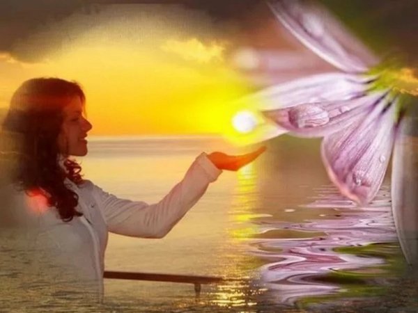 Добра солнца и любви