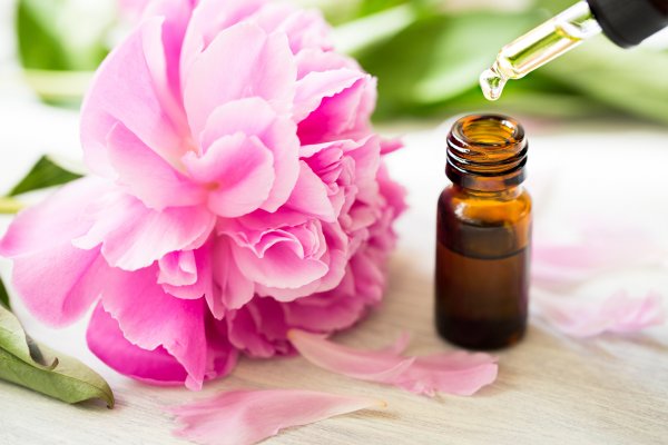 DOTERRA роза дамасская