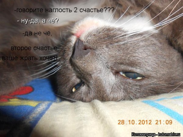Наглость это счастье