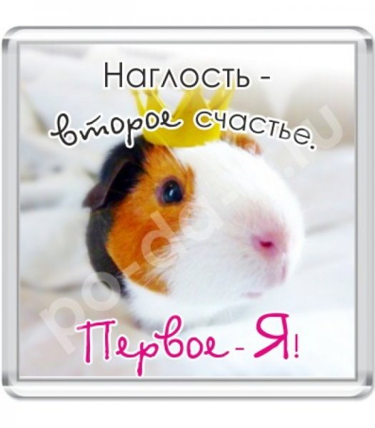 Демотиваторы про счастье смешные