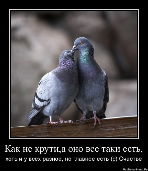 Приколы про наглость