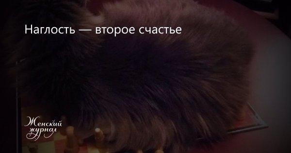 Любовь с небес
