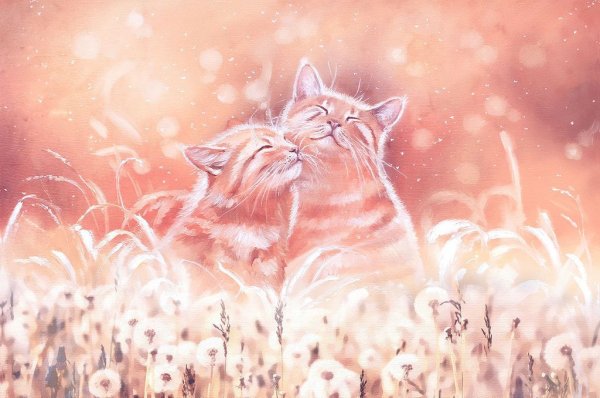 Аннет Логинова коты