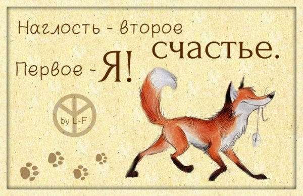 Цитаты про лисиц
