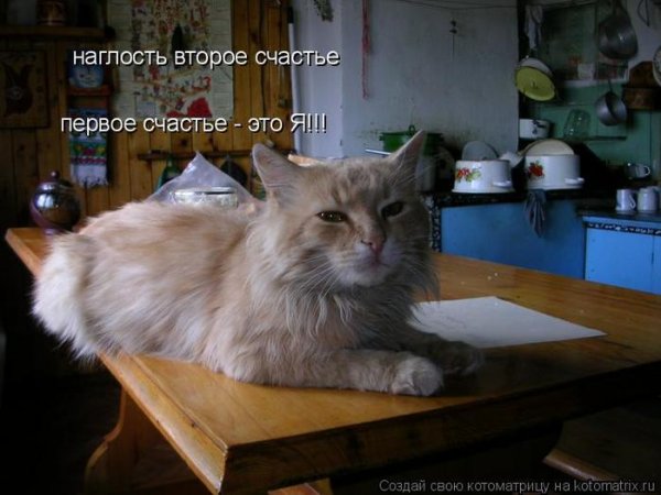 Наглость второе счастье а первое я