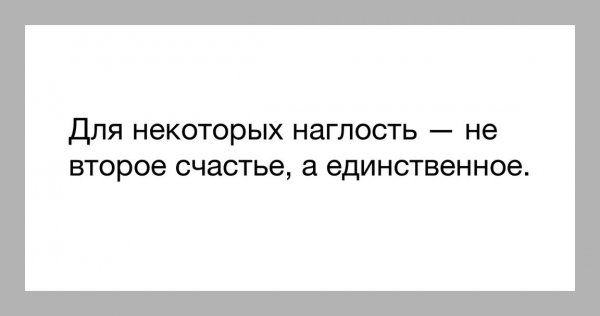 Черный кот с попугаем