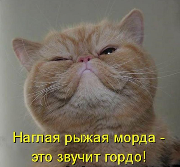 Про наглость. С надписью