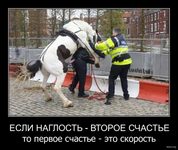 Наглость второе счастье а первое я