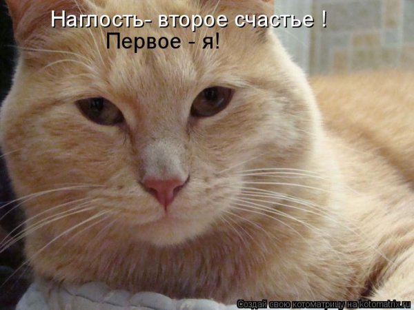 Наглость второе счастье юмор