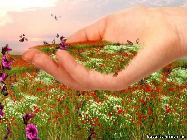 Жизнь дарит радость и цветы