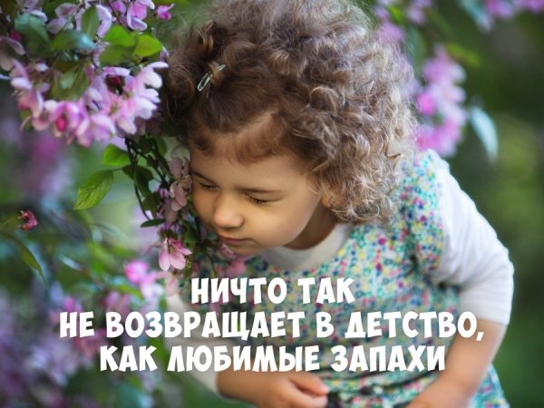 Каждый день имеет свой аромат
