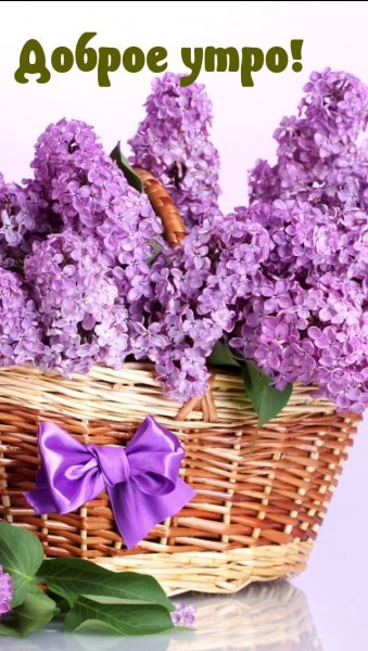 Открытки доброе утро