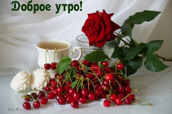 Пожелания с добрым утром с фруктами