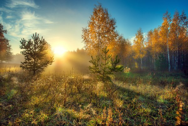 Рассвет осенью