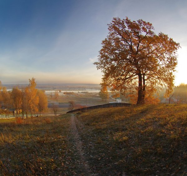 Осеннее утро