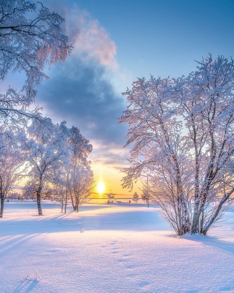 Картинки зимнее утро (42 фото)