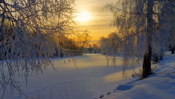 Морозное зимнее утро