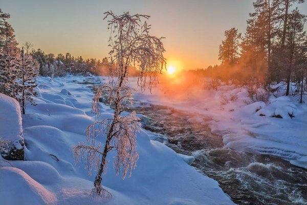Утро в зимнем лесу