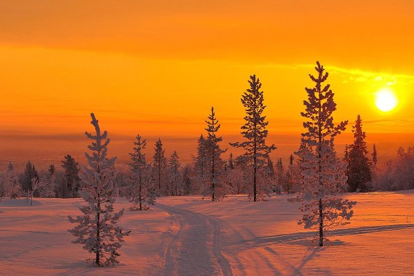 Снежное утро