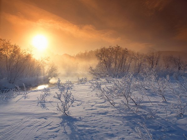 Морозное зимнее утро